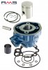 Cylinder kit RMS 100080111