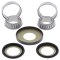 Steering bearing and seal kit All Balls Racing