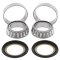 Steering bearing and seal kit All Balls Racing