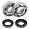 Crankshaft bearing and seal kit All Balls Racing