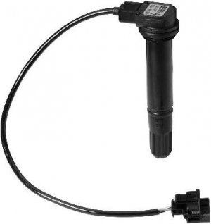 Ignition coil BERU