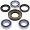 Wheel bearing and seal kit All Balls Racing