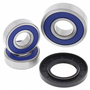 Wheel Bearing Kit All Balls Racing