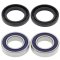 Wheel bearing and seal kit All Balls Racing