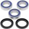 Wheel bearing and seal kit All Balls Racing