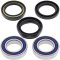 Wheel bearing and seal kit All Balls Racing