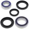 Wheel bearing and seal kit All Balls Racing