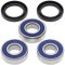 Wheel bearing and seal kit All Balls Racing