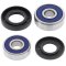 Wheel bearing and seal kit All Balls Racing