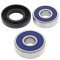 Wheel bearing and seal kit All Balls Racing