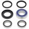 Wheel bearing and seal kit All Balls Racing