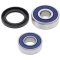 Wheel bearing and seal kit All Balls Racing