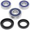 Wheel bearing and seal kit All Balls Racing