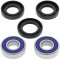 Wheel bearing and seal kit All Balls Racing