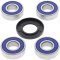 Wheel bearing and seal kit All Balls Racing