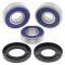 Wheel bearing and seal kit All Balls Racing