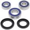 Wheel bearing and seal kit All Balls Racing