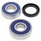 Wheel bearing and seal kit All Balls Racing