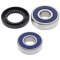 Wheel bearing and seal kit All Balls Racing