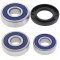 Wheel bearing and seal kit All Balls Racing