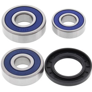 Wheel bearing and seal kit All Balls Racing