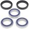 Wheel bearing and seal kit All Balls Racing