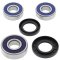 Wheel bearing and seal kit All Balls Racing