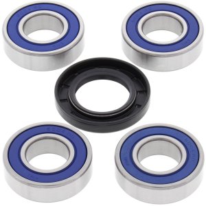 Wheel bearing and seal kit All Balls Racing