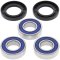 Wheel bearing and seal kit All Balls Racing