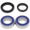 Wheel bearing and seal kit All Balls Racing