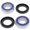 Wheel bearing and seal kit All Balls Racing