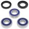 Wheel bearing and seal kit All Balls Racing