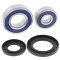 Wheel bearing and seal kit All Balls Racing