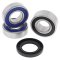 Wheel bearing and seal kit All Balls Racing