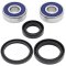 Wheel bearing and seal kit All Balls Racing