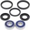 Wheel bearing and seal kit All Balls Racing