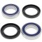 Wheel bearing and seal kit All Balls Racing