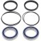 Wheel bearing and seal kit All Balls Racing