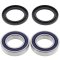 Wheel bearing and seal kit All Balls Racing