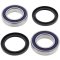 Wheel bearing and seal kit All Balls Racing