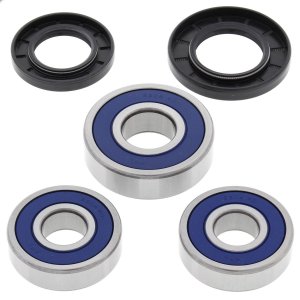 Wheel bearing and seal kit All Balls Racing