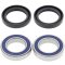 Wheel bearing and seal kit All Balls Racing