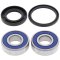 Wheel bearing and seal kit All Balls Racing