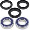 Wheel bearing and seal kit All Balls Racing