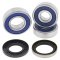 Wheel bearing and seal kit All Balls Racing