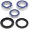 Wheel bearing and seal kit All Balls Racing