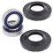 Wheel bearing and seal kit All Balls Racing