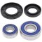 Wheel bearing and seal kit All Balls Racing