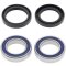 Wheel bearing and seal kit All Balls Racing