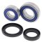 Wheel bearing and seal kit All Balls Racing